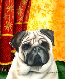 Pug