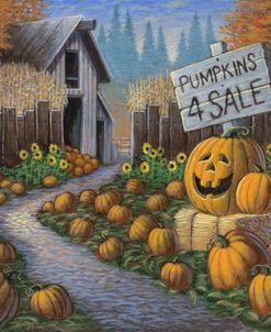 Pumpkin Patch