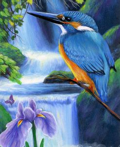 Kingfisher Falls