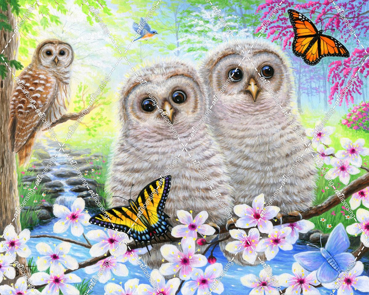 Spring Owlets