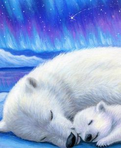Arctic Dreams