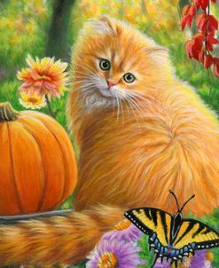 Autumn Butterfly