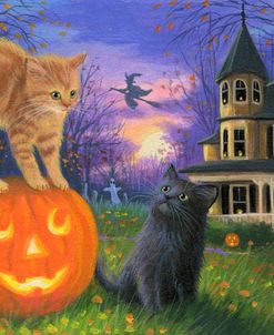 Haunted House Fun