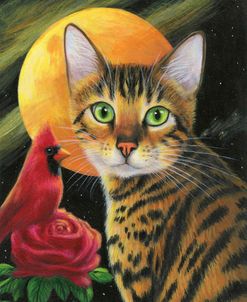 Bengal Moon