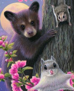 Moonlight Babies 2