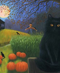 In The Witch’s Garden