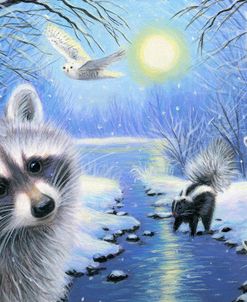 Rafaella’s Winter