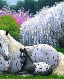 Spring Siesta