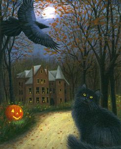 The Road To The Haunted House