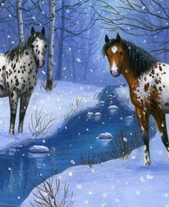 Winter Birches
