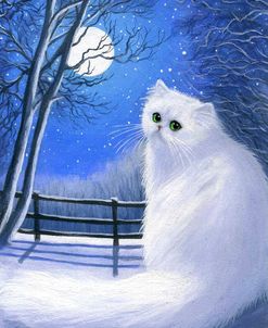 Winter Moon