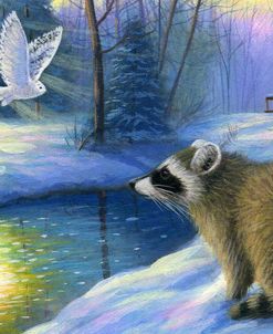 Winter Sunlight