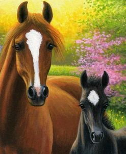 A Golden Spring Morning