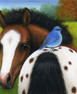 Little Blue Friend