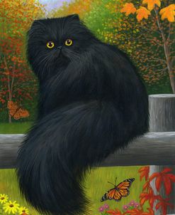 Fall Glory For Figaro