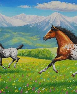 Spring In The Sangres