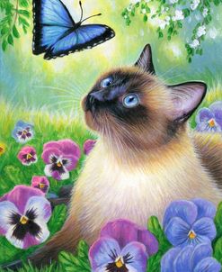 The Blue Butterfly 3