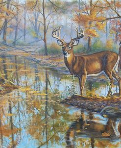 Brookside Retreat – Whitetails