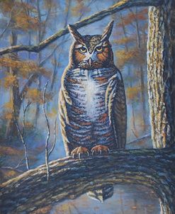 Great Horned Owl