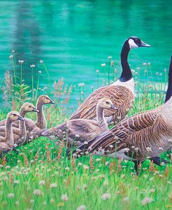 Goose Family Outing