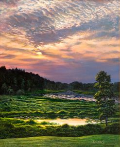 Marsh Sunset