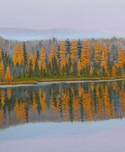 New Hampshire Reflection