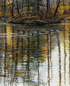 Autumn Mallards