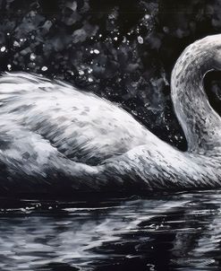 Snowy Swan