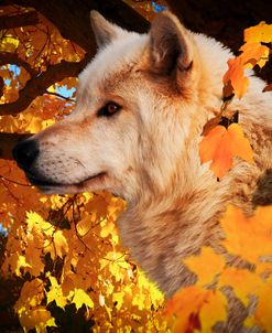 Autumn Leaves and Wolf