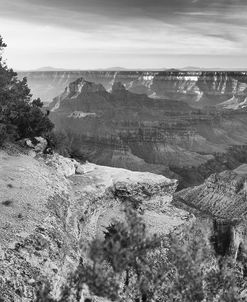 GRAND_CANYON_01