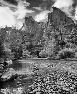 ZION_01