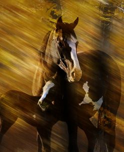 Wild Horses in the Badlands I