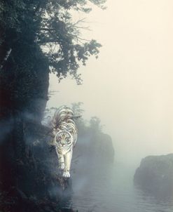 Tiger On A Ledge