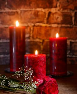 Candle Lit Rose_13920