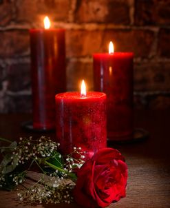 Candle Lit Rose_13933