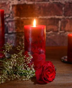 Candle Lit Rose