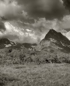 334Glacier-2016-B&W