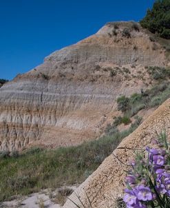 Enter the Badlands_0884