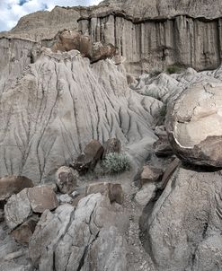 Enter the Badlands_0785