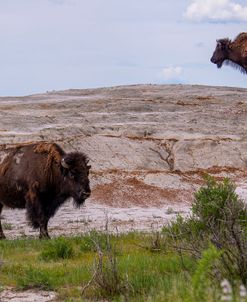 Enter the Badlands_5229