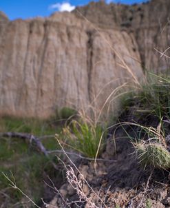 Enter the Badlands_5389