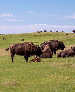 Enter the Badlands_5420