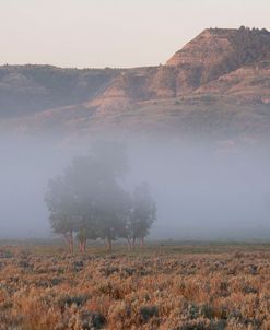 Enter the Badlands_5442