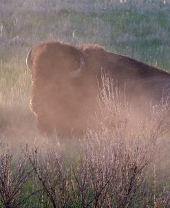 Enter the Badlands_5461