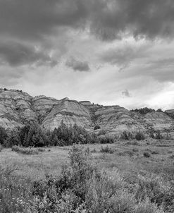 Enter the Badlands B&W-0825