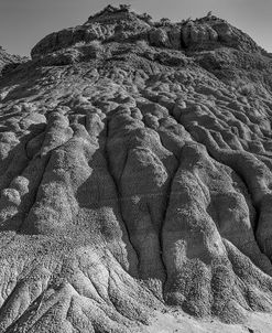 Enter the Badlands B&W-0870