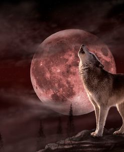 Wolf Moon