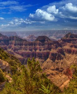 Grand Canyon 05