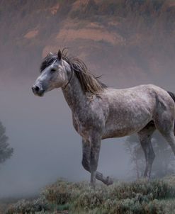 Misty River Morning 1