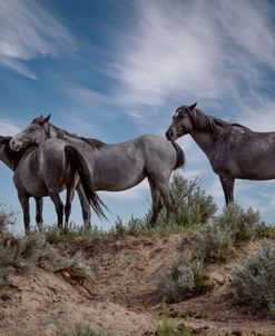 Return to the Badlands 07